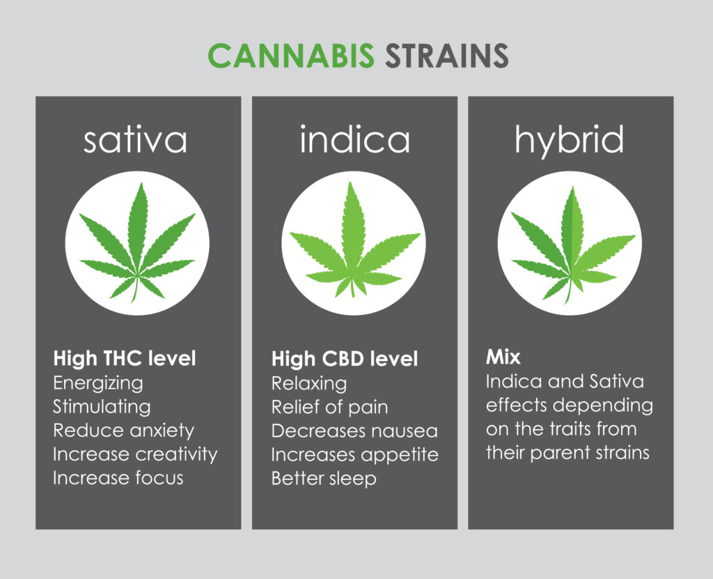 What Cannabis Strain Is For You?